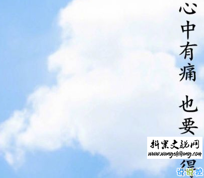 www.wangshihang.com最新青春励志说说带图片 一句话激励你的句子14
