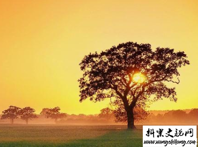 www.wangshihang.com微信朋友圈早安问候语经典 早安全世界的说说6