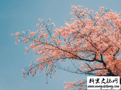www.wangshihang.com文艺经典语录带图片 适合女生的简单文艺风说说11