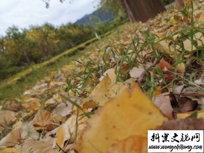 www.wangshihang.com描写秋天的句子优美带图片 秋天到了微信心情说说4