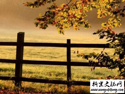www.wangshihang.com描写秋天的句子优美带图片 秋天到了微信心情说说7
