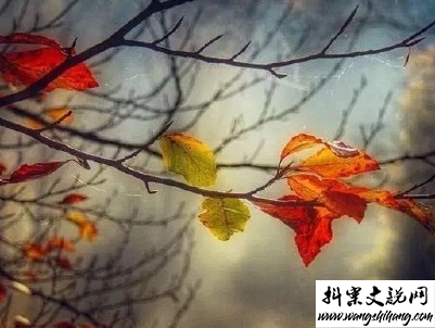 www.wangshihang.com描写秋天的句子优美带图片 秋天到了微信心情说说11