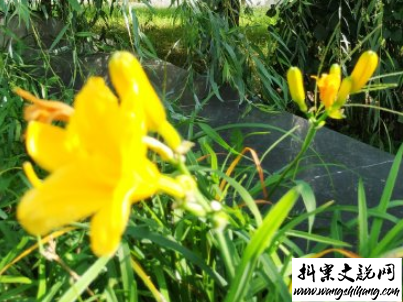 www.wangshihang.com描写秋天的句子优美带图片 秋天到了微信心情说说15