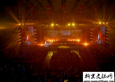 www.wangshihang.com看演唱会发朋友圈的文案 适合演唱会的心情说说配图9