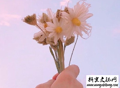 www.wangshihang.com早安调皮句子带图片 女生朋友圈可爱早安心语7