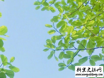 www.wangshihang.com秋天朋友圈说说充满诗意 唯美有诗意的秋天说说配图14