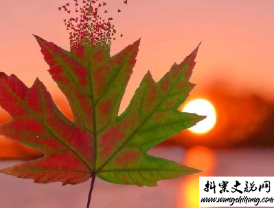 www.wangshihang.com 看日出日落的心情说说带图片 欣赏日出日落的句子1