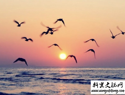 www.wangshihang.com 看日出日落的心情说说带图片 欣赏日出日落的句子2