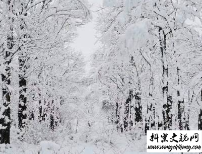 www.wangshihang.com下雪天朋友圈唯美说说配图 下雪了说说简短一句话9