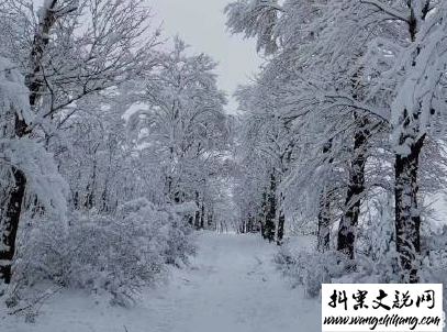 www.wangshihang.com下雪天朋友圈唯美说说配图 下雪了说说简短一句话13