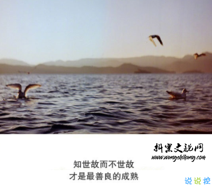 www.wangshihang.com抖音经典短句带图片 洒脱精辟的经典说说2