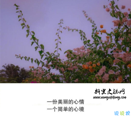 www.wangshihang.com抖音经典短句带图片 洒脱精辟的经典说说9