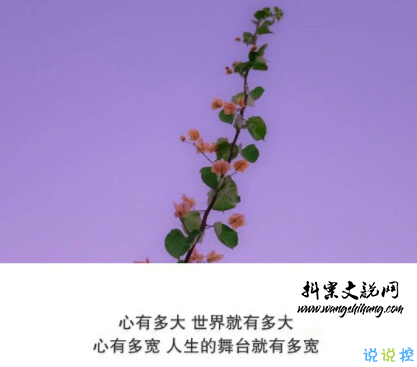 www.wangshihang.com抖音经典短句带图片 洒脱精辟的经典说说10