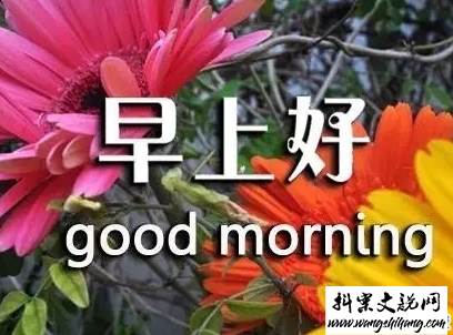 www.wangshihang.com抖音早安心语唯美带图片 早安问候语幽默一句话10