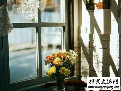 www.wangshihang.com努力奋斗的句子带图片 高质量治愈系励志说说3