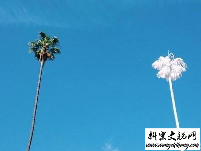 www.wangshihang.com努力奋斗的句子带图片 高质量治愈系励志说说6