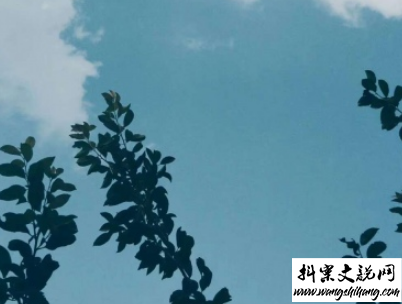 www.wangshihang.com 适合假期发的日常句子带图片 2019暑假放假的个性说说短语1