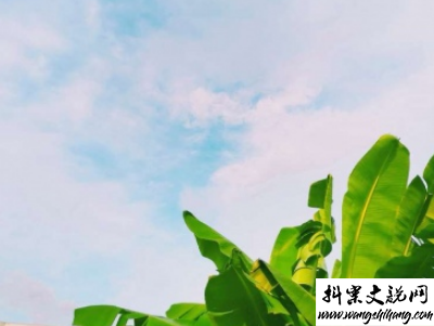 www.wangshihang.com 适合假期发的日常句子带图片 2019暑假放假的个性说说短语2