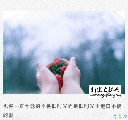 www.wangshihang.com 伤感的朋友圈说说配文字图片 一句话文艺悲伤句子9