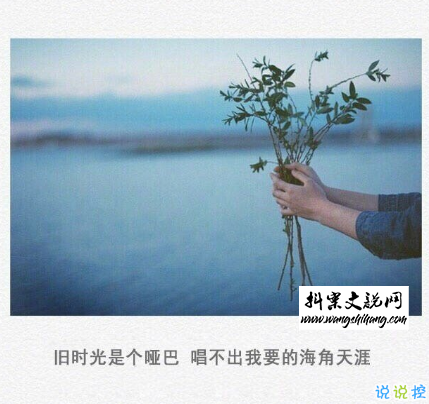 www.wangshihang.com 伤感的朋友圈说说配文字图片 一句话文艺悲伤句子14