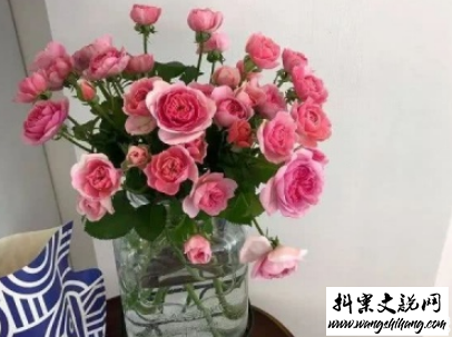 www.wangshihang.com 夏天的干净句子带图片 女生夏季心情说说小清新8