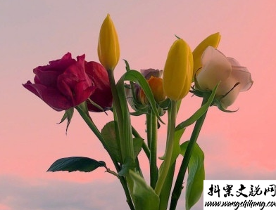 www.wangshihang.com 热恋时候说的感人情话带图片 恋爱中超甜的说说精选8