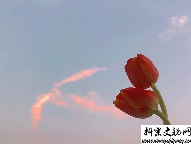 www.wangshihang.com 热恋时候说的感人情话带图片 恋爱中超甜的说说精选15