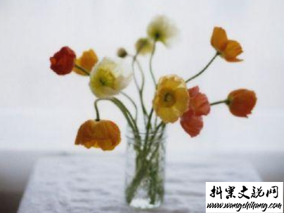 www.wangshihang.com 最新励志晚安说说致自己配图 越努力的人才会越幸运10
